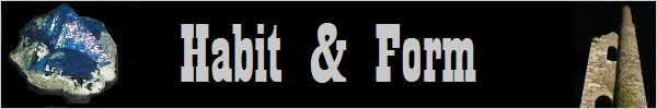 Habit & Form